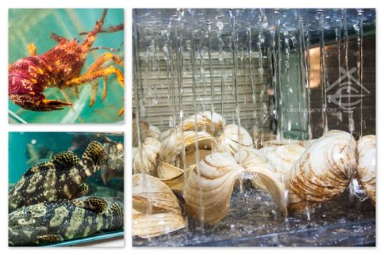 点击图片进入下一页