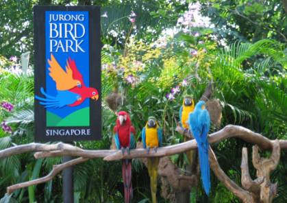 F:\新加坡\Jurong Bird Park裕廊飞禽公园.jpg