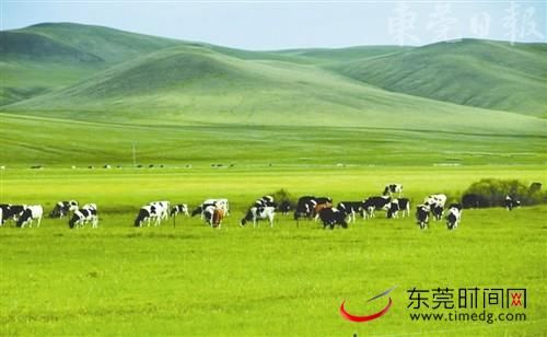 肥沃的草原