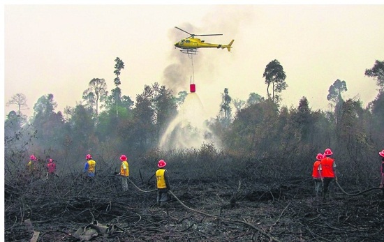 印尼增派数千人前线灭林火警方逮捕非法烧芭者