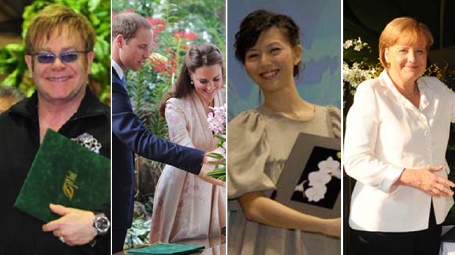 Singapore orchids named after VIPs ( PHOTO: AFP)
