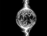 本报驻邯郸记者 陈正 见习记者 赵晨光 文/图