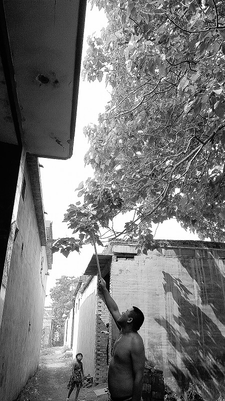 UFO袭击永年小村?