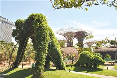 新加坡的生态奇迹