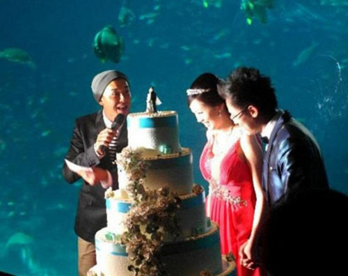包海洋館辦婚宴新加坡華人大亨斥巨資娶媳婦（圖）