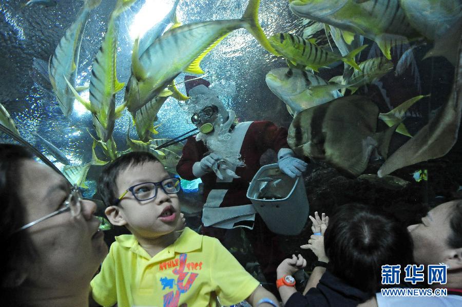 （国际）（1）新加坡特殊儿童提前在海底世界过圣诞节