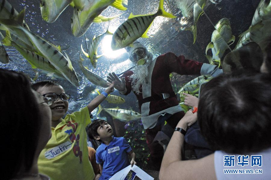 （国际）（2）新加坡特殊儿童提前在海底世界过圣诞节
