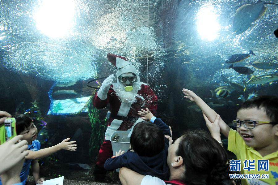 （国际）（3）新加坡特殊儿童提前在海底世界过圣诞节