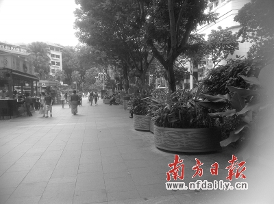 核心商圈乌节路上开阔的人行通道,地下则是四通八达的地下通道。新加坡主干道和地铁沿线有各式各样的连廊,可以前往这些租屋的停车楼。