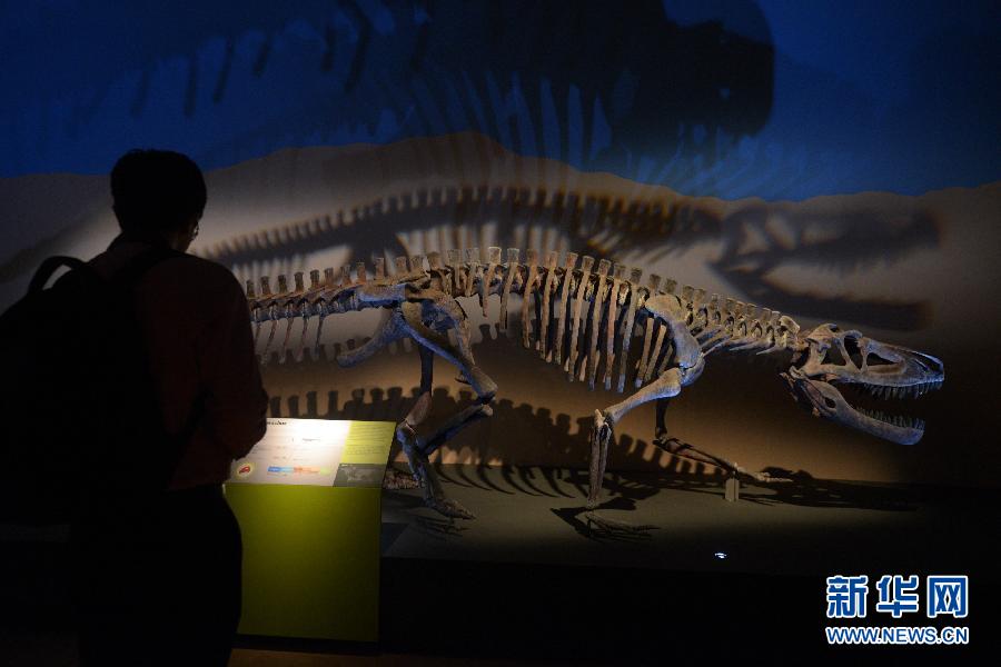 （国际）（4）恐龙展登陆新加坡艺术科学博物馆
