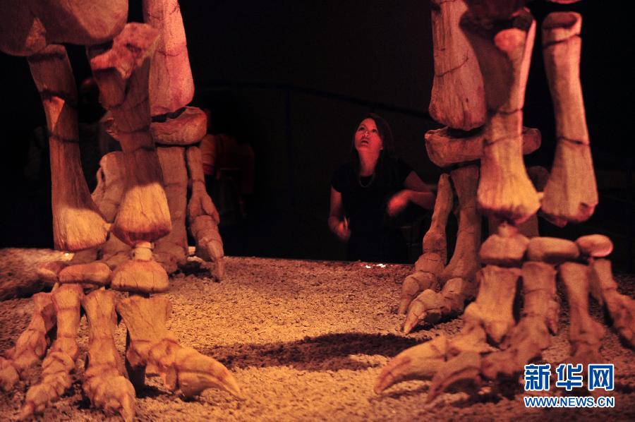 （国际）（3）恐龙展登陆新加坡艺术科学博物馆