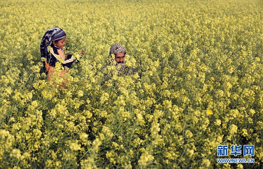 （国际&middot;编辑连线）（13）父亲节专递&mdash;&mdash;永远的情人