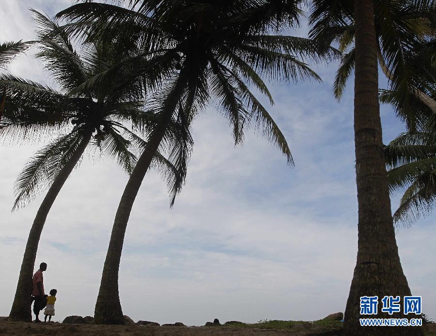 （国际&middot;编辑连线）（15）父亲节专递&mdash;&mdash;永远的情人