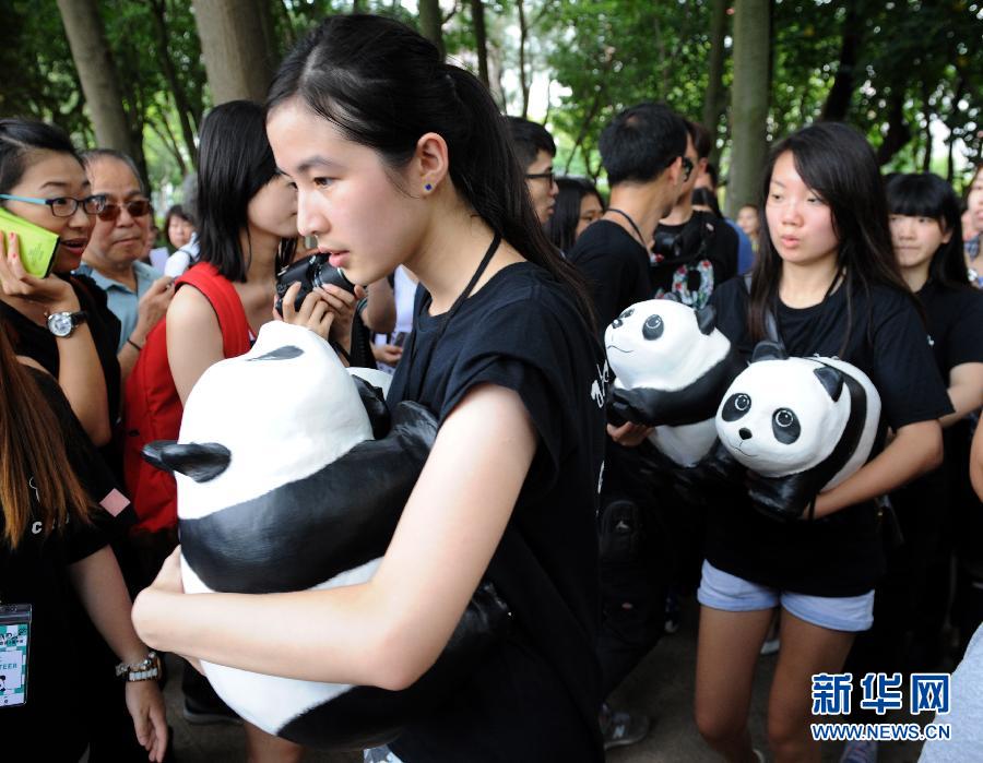 （社会）（3）1600只纸糊大熊猫亮相香港维多利亚公园