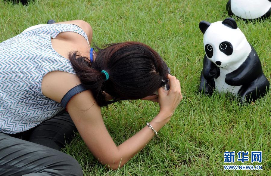 （社会）（4）1600只纸糊大熊猫亮相香港维多利亚公园