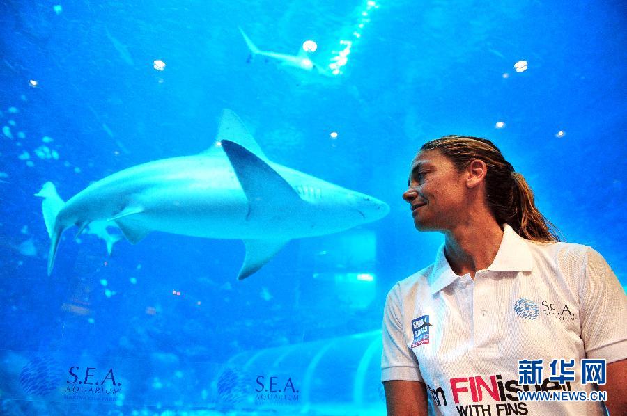 （XHDW）（3）鲨鱼保育者克里斯蒂娜&middot;泽纳托出席新加坡鲨鱼保育活动
