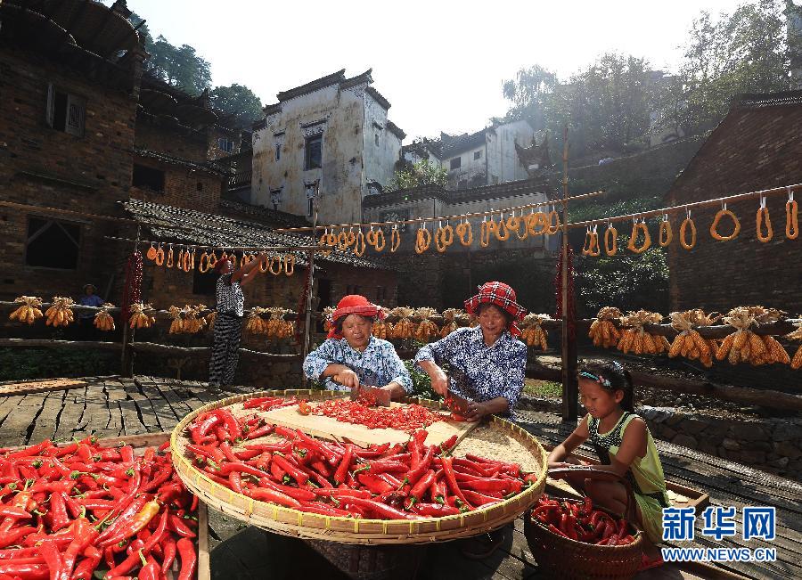 （晚报）（3）江西婺源：秋景乡俗迎金秋