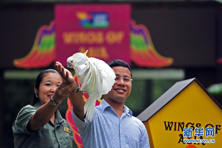 （XHDW）（1）新加坡“亞洲珍禽”鳥舍開幕