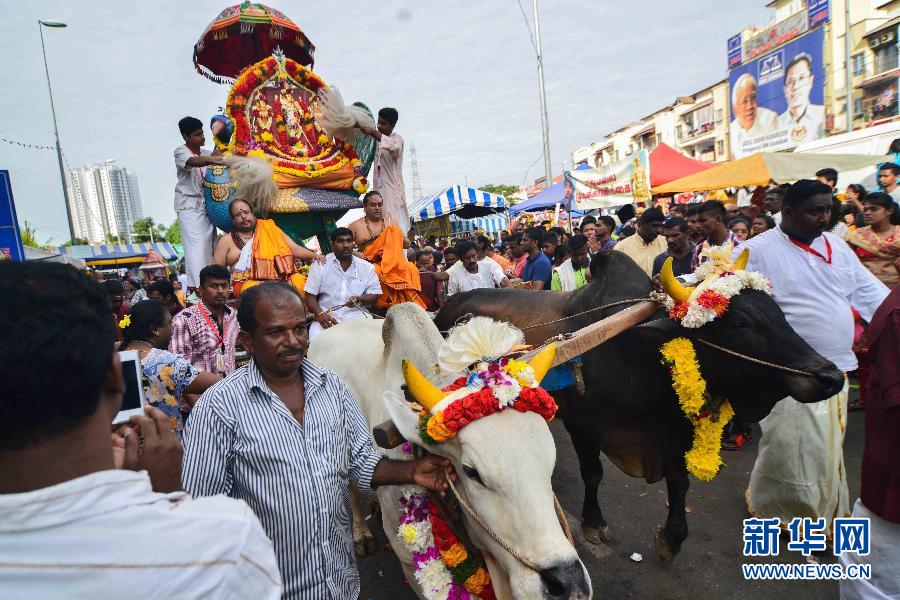 （XHDW）（1）马来西亚印度教徒欢庆大宝森节
