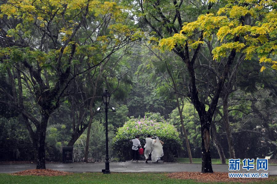 （XHDW）（1）雨降新加坡植物园