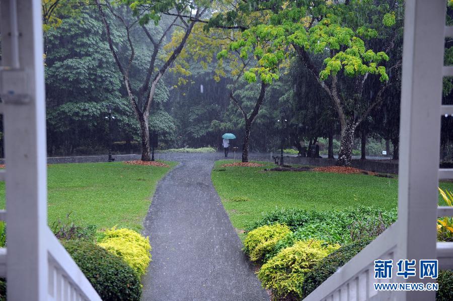 （XHDW）（2）雨降新加坡植物园