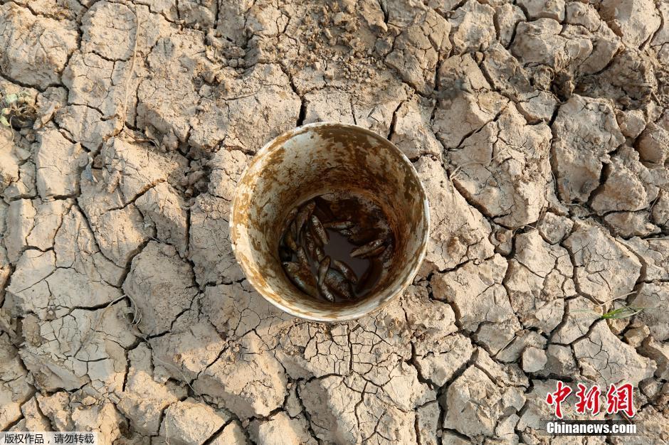 柬埔寨甘丹省遭遇干旱 池塘干涸船只&ldquo;上岸&rdquo;