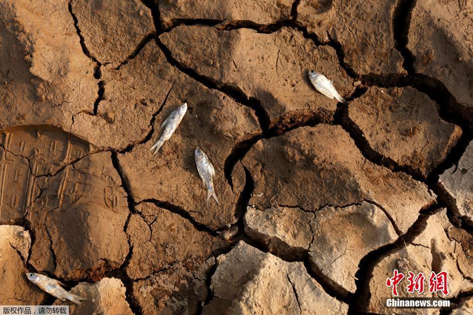 柬埔寨甘丹省遭遇干旱 池塘干涸船只&ldquo;上岸&rdquo;