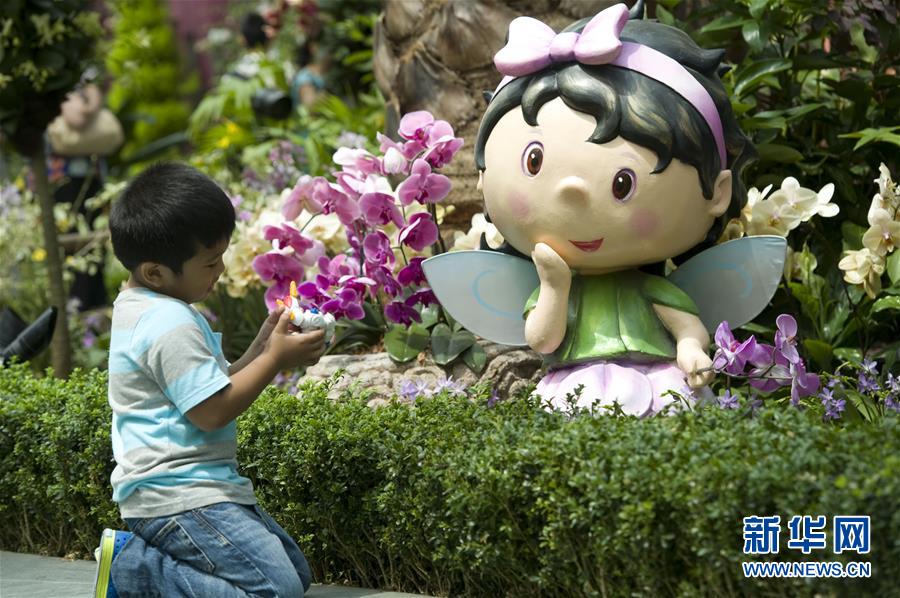 （晚报）（2）新加坡将举办“兰花盛会”花艺展
