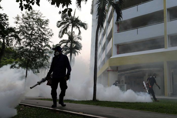 新加坡爆发本土寨卡疫情 41人确认感染