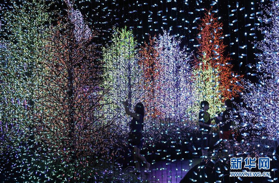 （外代二线）新加坡环球影城亮灯迎圣诞