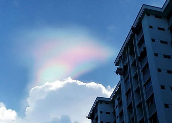 美翻了！罕见“火焰彩虹”惊现新加坡天空