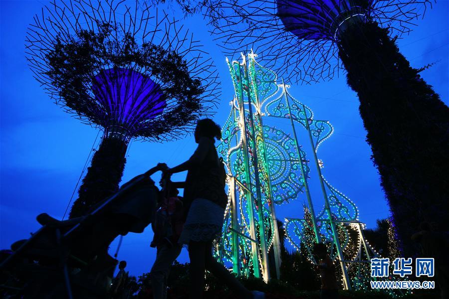 （国际）（1）新加坡滨海湾花园打造“圣诞仙境”庆祝圣诞节
