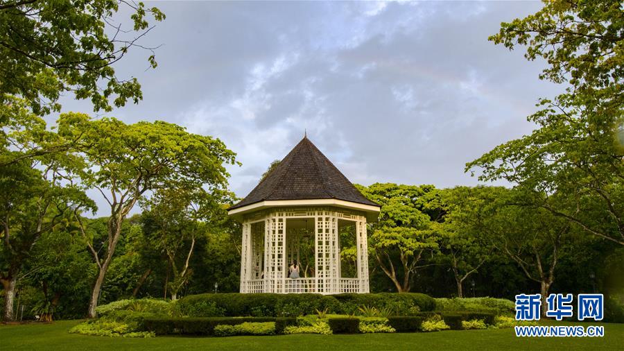 （国际）（2）新加坡植物园上空的彩虹