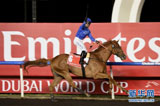 迪拜赛马世界杯：皇家赛马夺最高奖 东亚赛驹表现不俗（高清组图）
