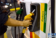 马来西亚汽油与柴油价格10月2日上涨