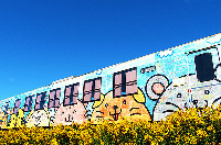 萌翻了的火车载你回家