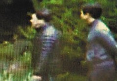 台法务部门公布扁散步影片 证实扁并无重病手抖