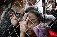 菲律宾受重创急待救援 灾民废墟中拾荒充饥 (组图)