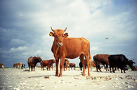 胶片摄影入门指南