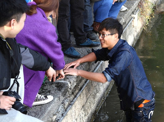 【纪实】2013中国&ldquo;正能量&rdquo;