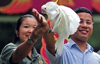 新加坡“亞洲珍禽”鳥舍開幕