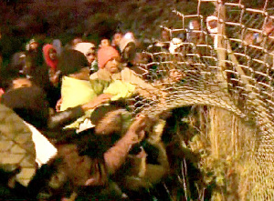 非法移民欲拆毀柵欄強行進入英國(組圖)
