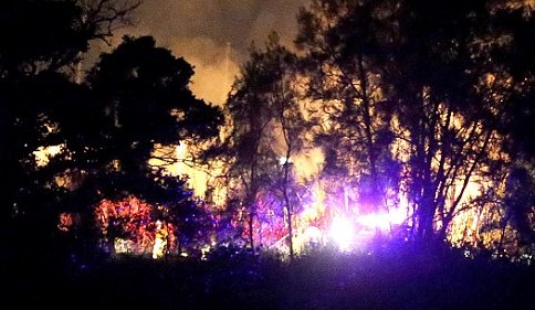 澳花花公子奢华派对烟火引燃丛林 消防出动