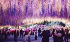 世界那么大，还那么美